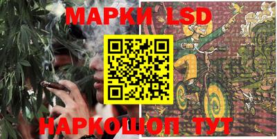 ешки Майкоп