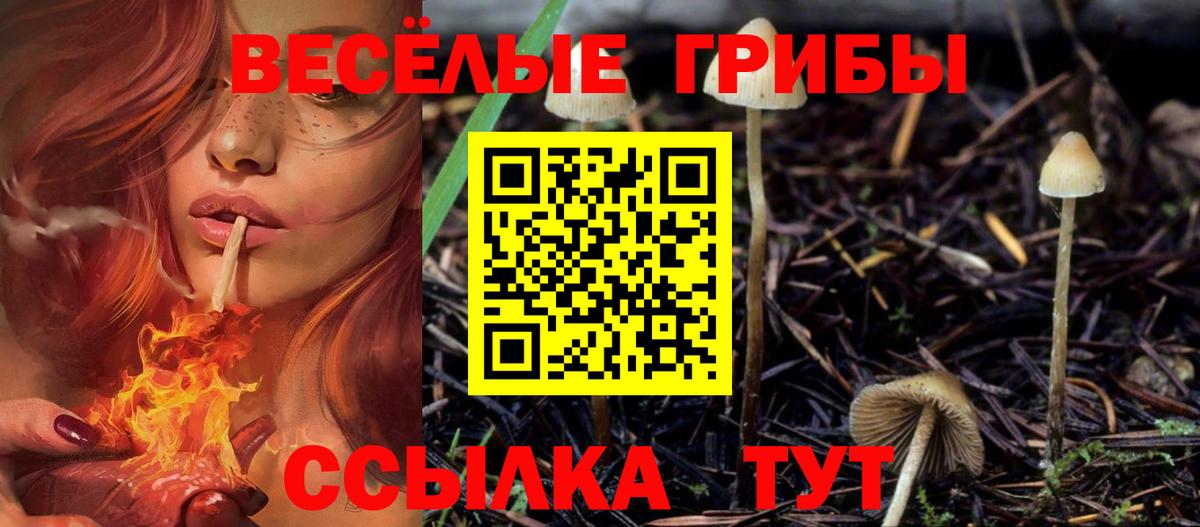 Выкса  Галлюциногенные грибы MAGIC MUSHROOMS  Вход с VPN  Галлюциногенные грибы мухоморы 